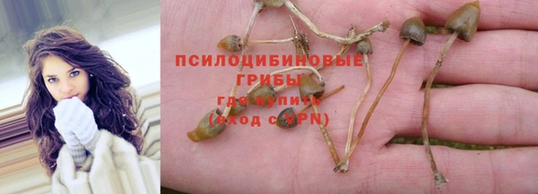 прущая мука Баксан