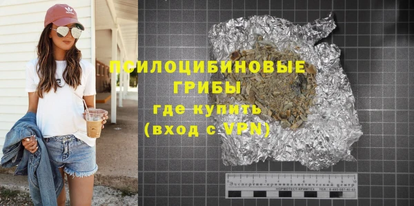 индика Беломорск