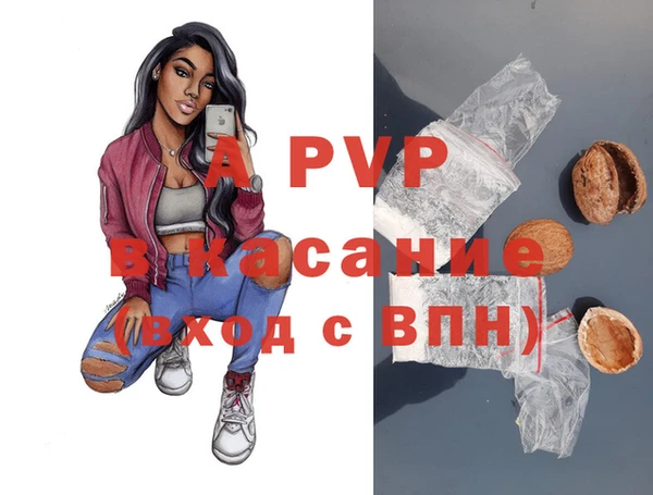 индика Беломорск
